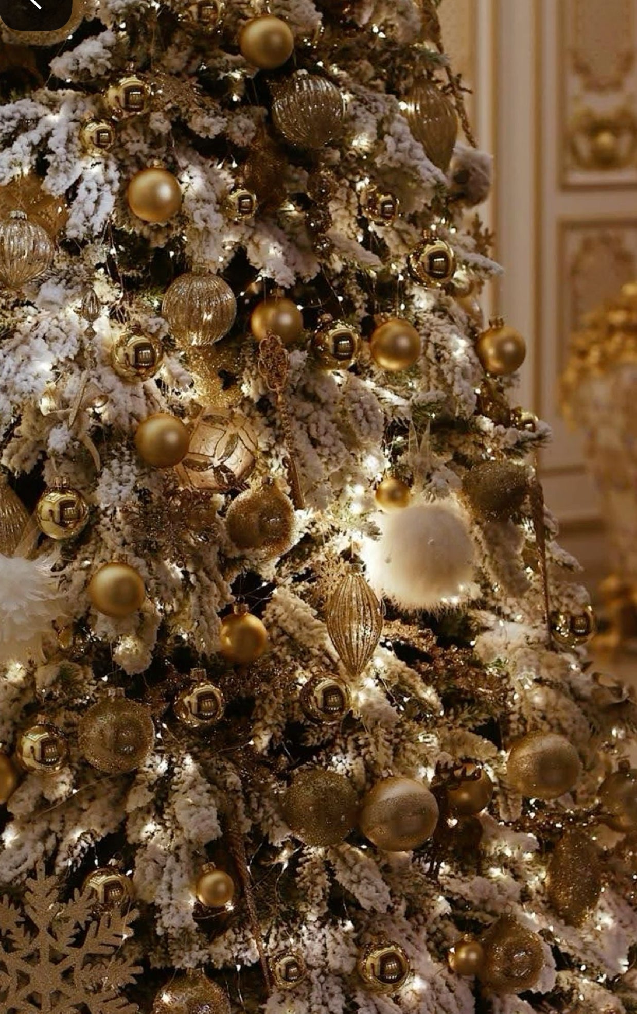 Festive Collection✨